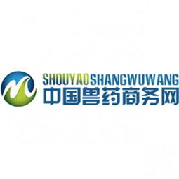 计算机软硬件技术开发 企业核心竞争力的构建与未来展望